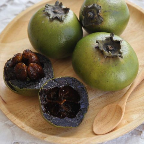 DIOSPYROS NIGRA - Sapotier noir