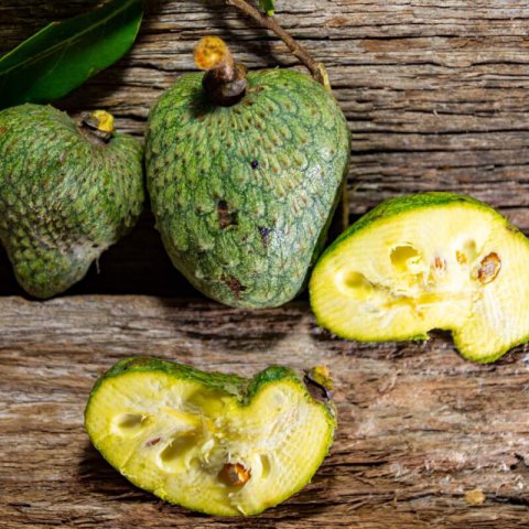 ANNONA x ATEMOYA - ATEMOYA