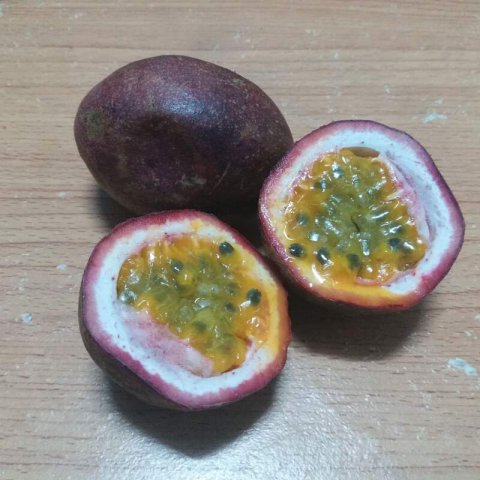 PASSIFLORA EDULIS Red Flamenco - Maracuy� roja