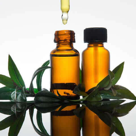 MYRTUS COMMUNIS - Mirto
