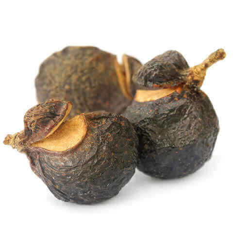 SAPINDUS SAPONARIA