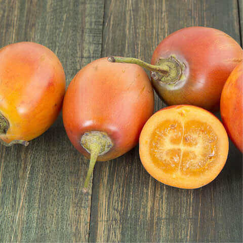 SOLANUM BETACEUM - Tamarillo, Arbre tomate #1