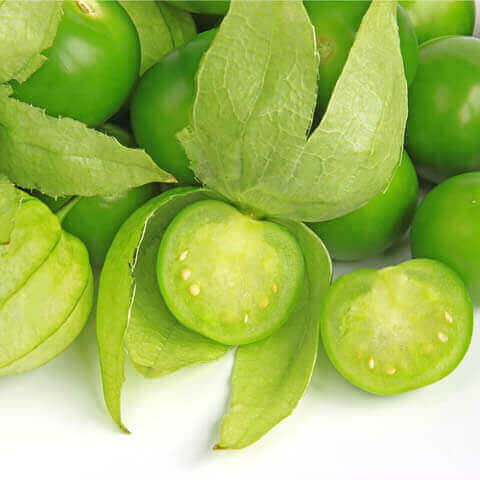 PHYSALIS IXOCARPA - Tomatillo, Green Husk Tomato