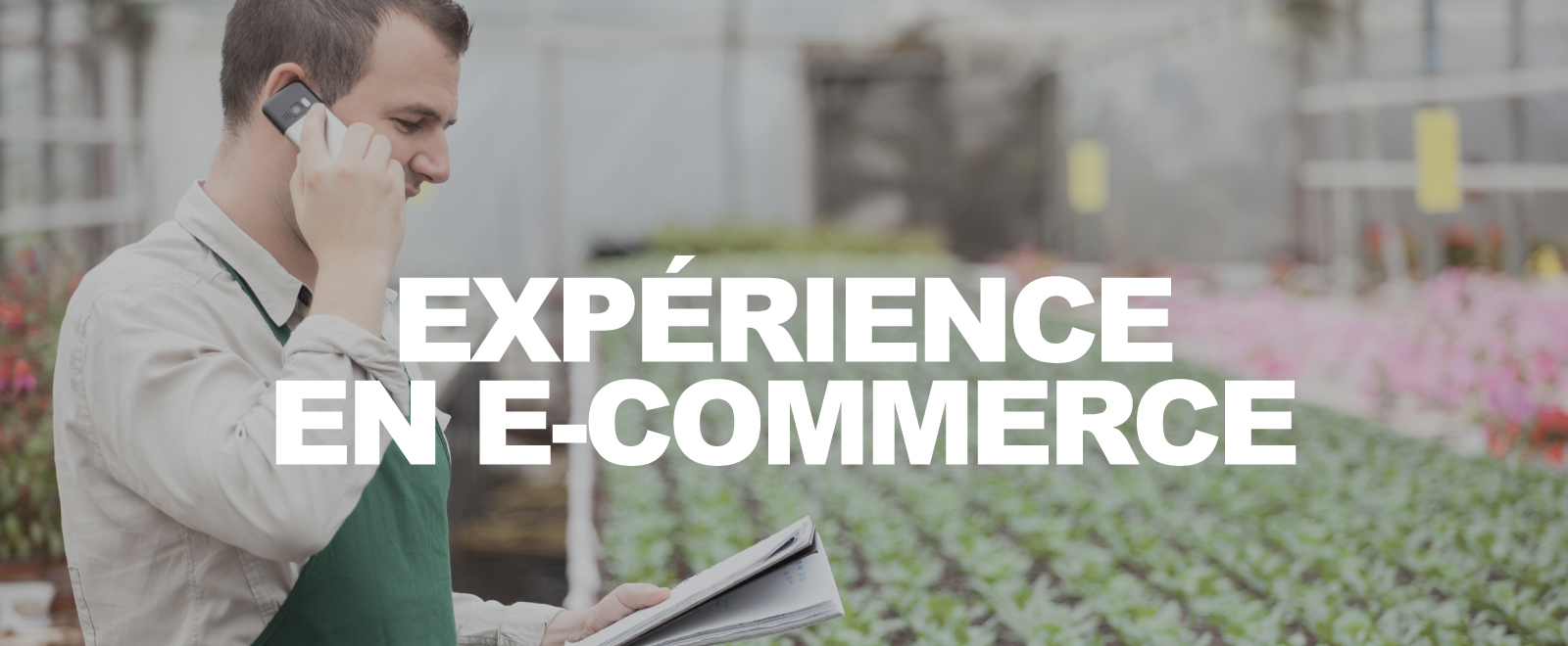 Exprience en E-commerce