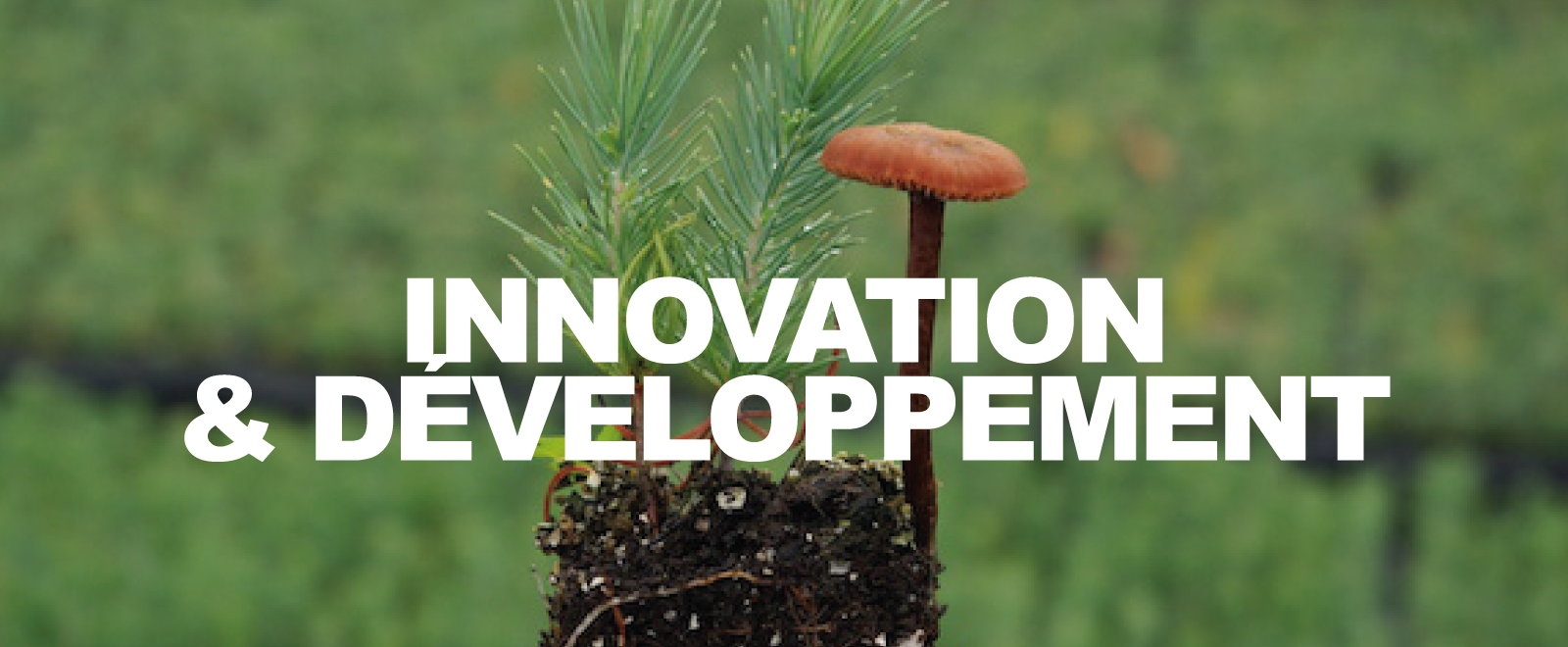 Innovation & Dveloppement