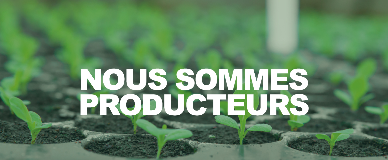 Nous sommes producteurs