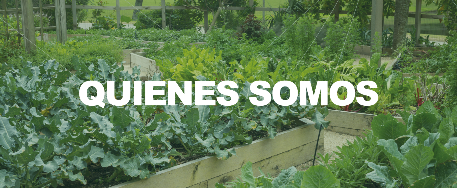 Quienes Somos
