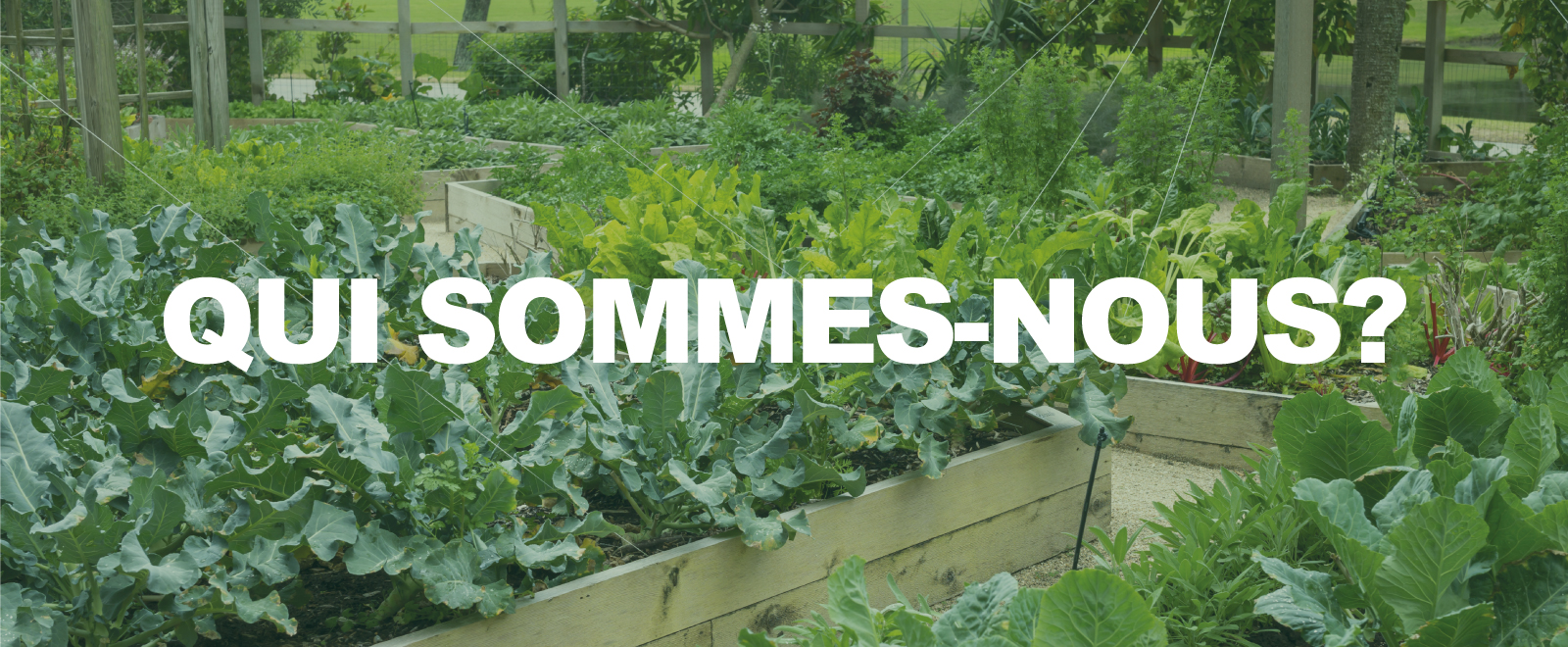 Qui Sommes Nous