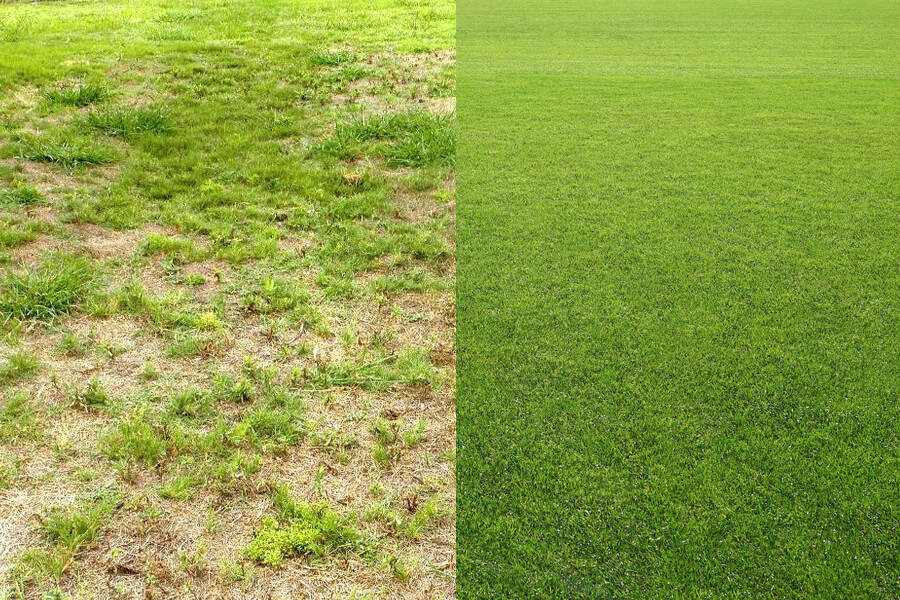 When is the best time to reseed your lawn?